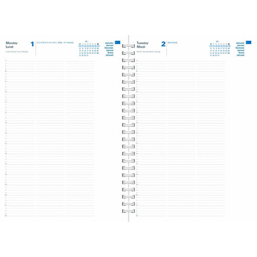 Quo Vadis DAY 2 DAY 29 2027 Relax Blau - 21x29,7cm