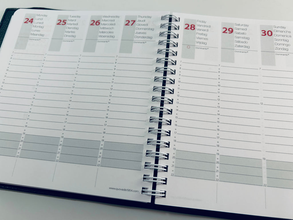 Quo Vadis TIME & LIFE 2027 Medium Rot - 16x16cm